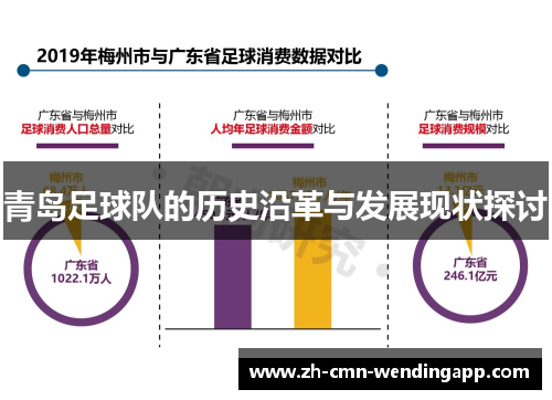 青岛足球队的历史沿革与发展现状探讨