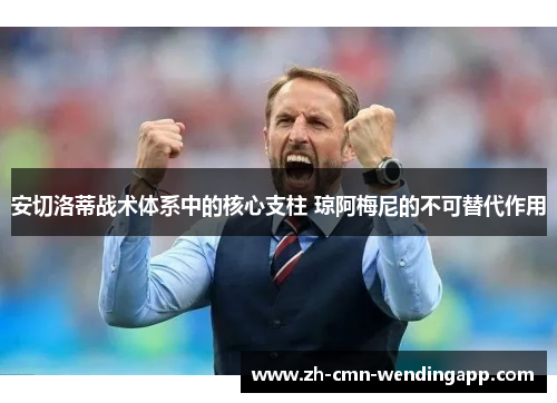 安切洛蒂战术体系中的核心支柱 琼阿梅尼的不可替代作用