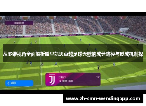 从多维视角全面解析哈里凯恩卓越足球天赋的成长路径与形成机制探