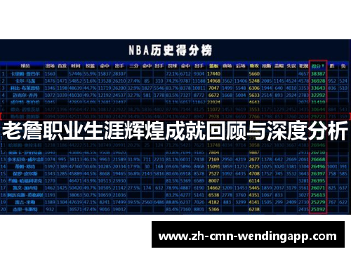 老詹职业生涯辉煌成就回顾与深度分析